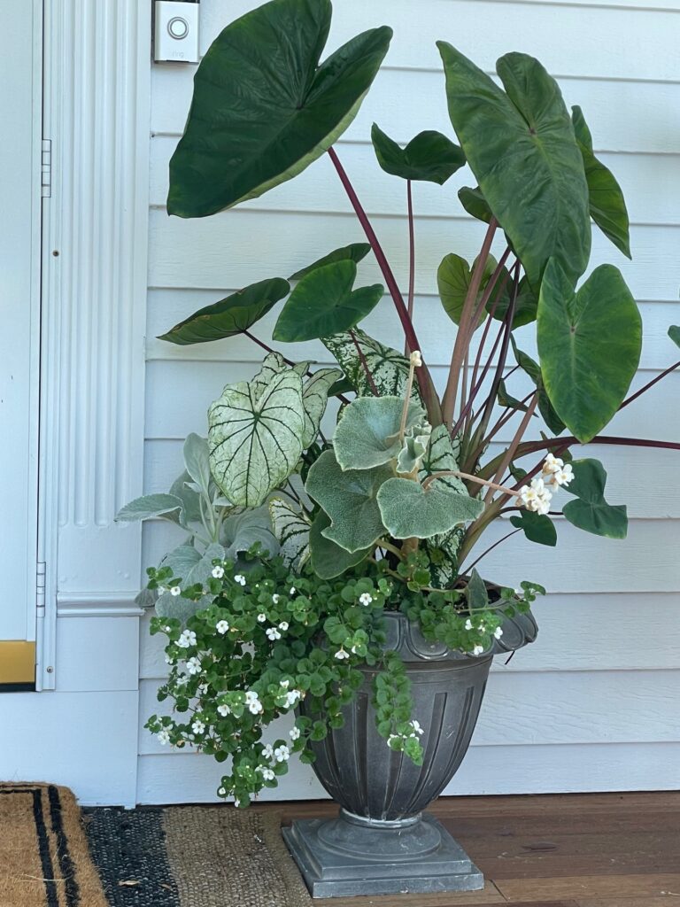 How to Create a Beautiful Front Entry